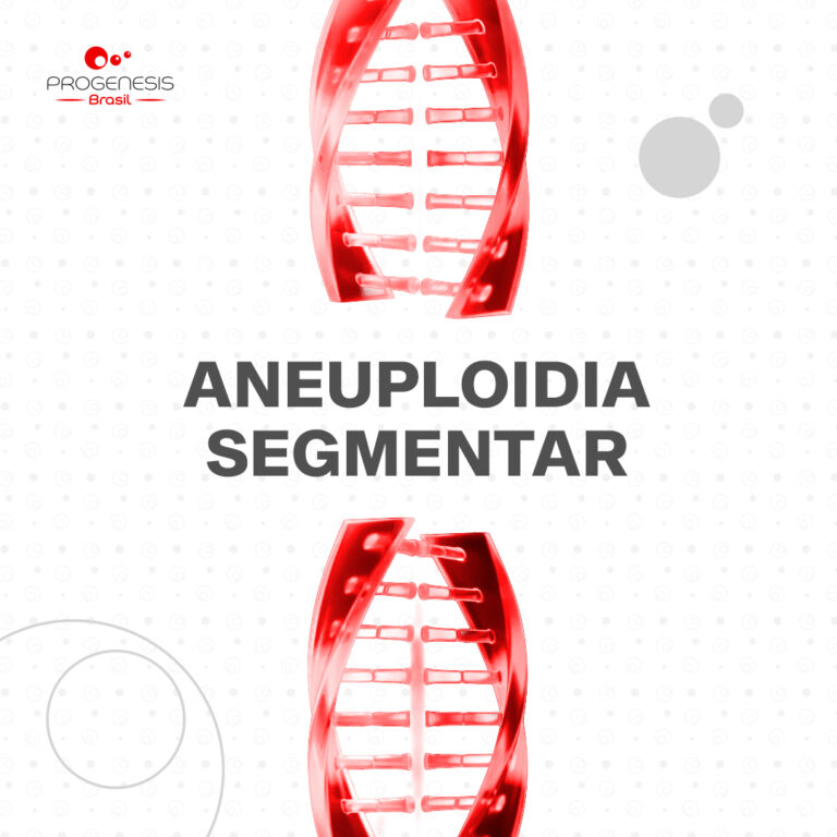 Aneuploidias Segmentares